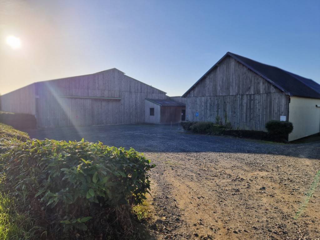 Bien équestre - Ecurie avec manége