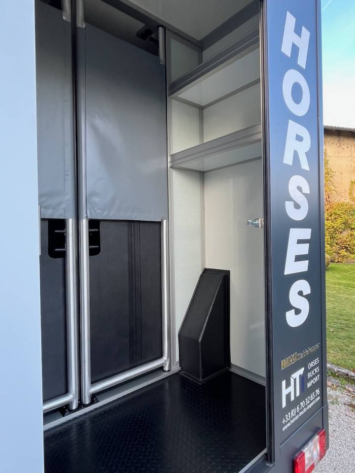 MAXUS DELIVER 9 LUXURY MSG STALLION LIGHT