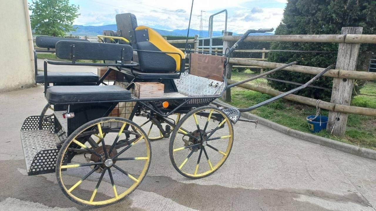 Marathon et Harnais double 