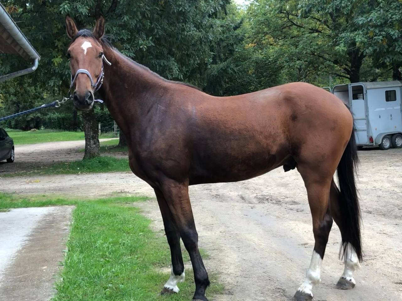 À vendre 