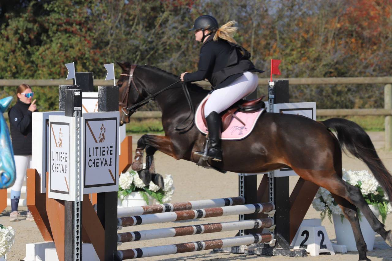 À vendre TF 9 ans cheval de loisir