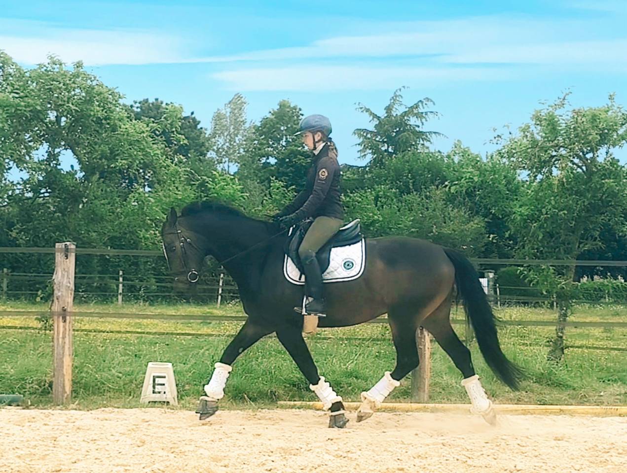 Trois très belles allures 
