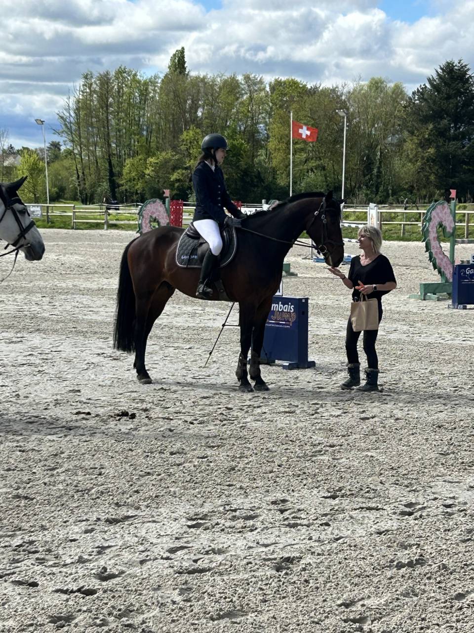 DP sur Hongre SF dans l'EURE 130 euros