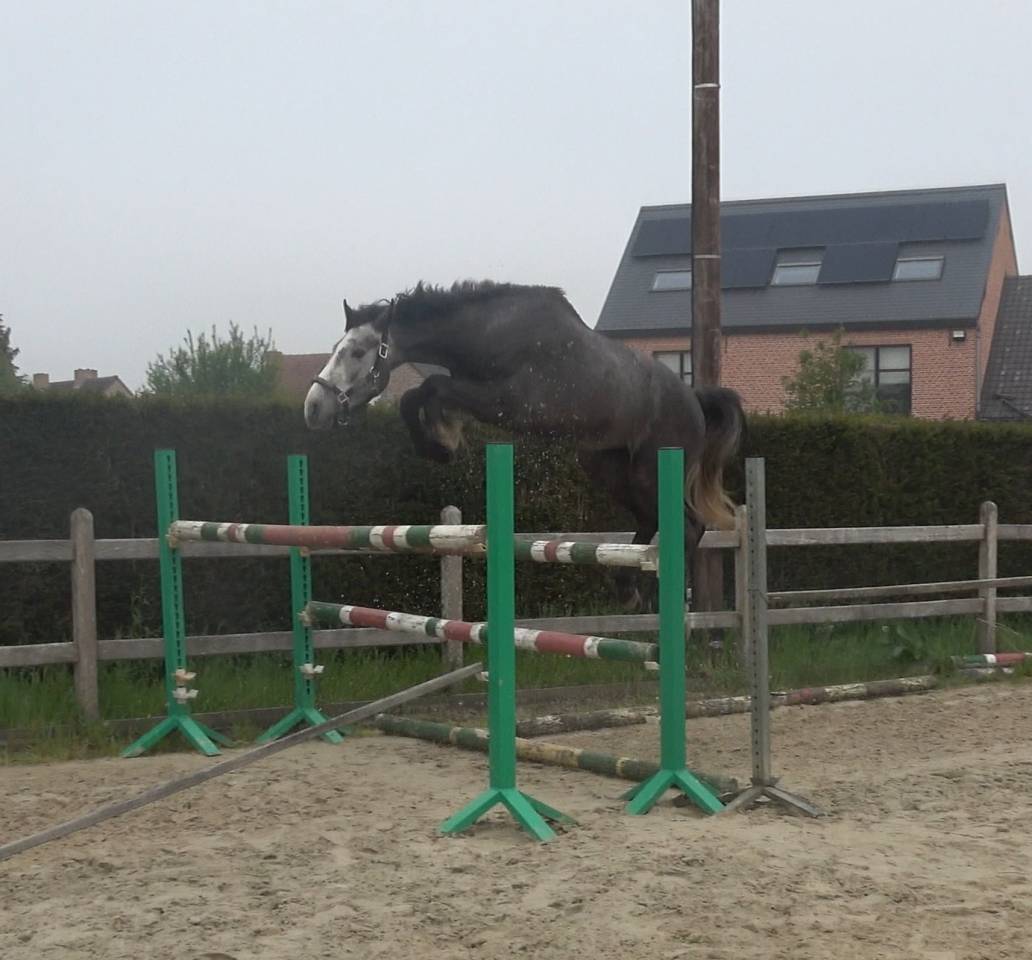 Prix spécial pour le bon pilote ambitieux Promising BWP