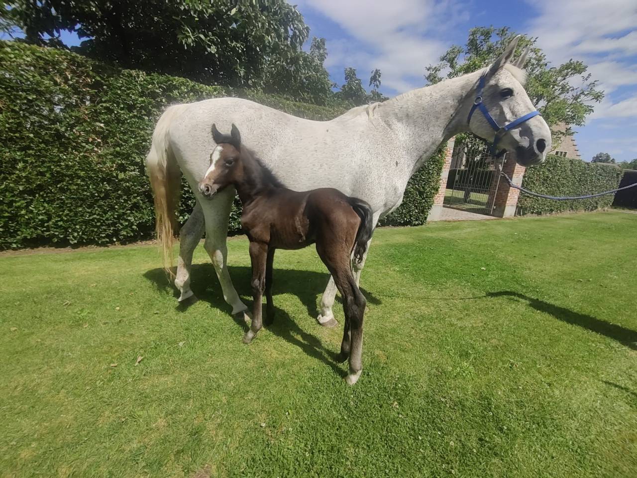 Prix spécial pour le bon pilote ambitieux Promising BWP