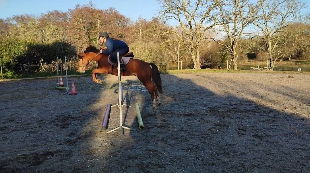 Poulinière par Aaron N pleine