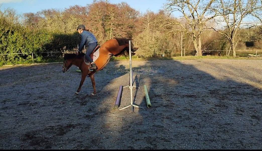 Poulinière par Aaron N pleine