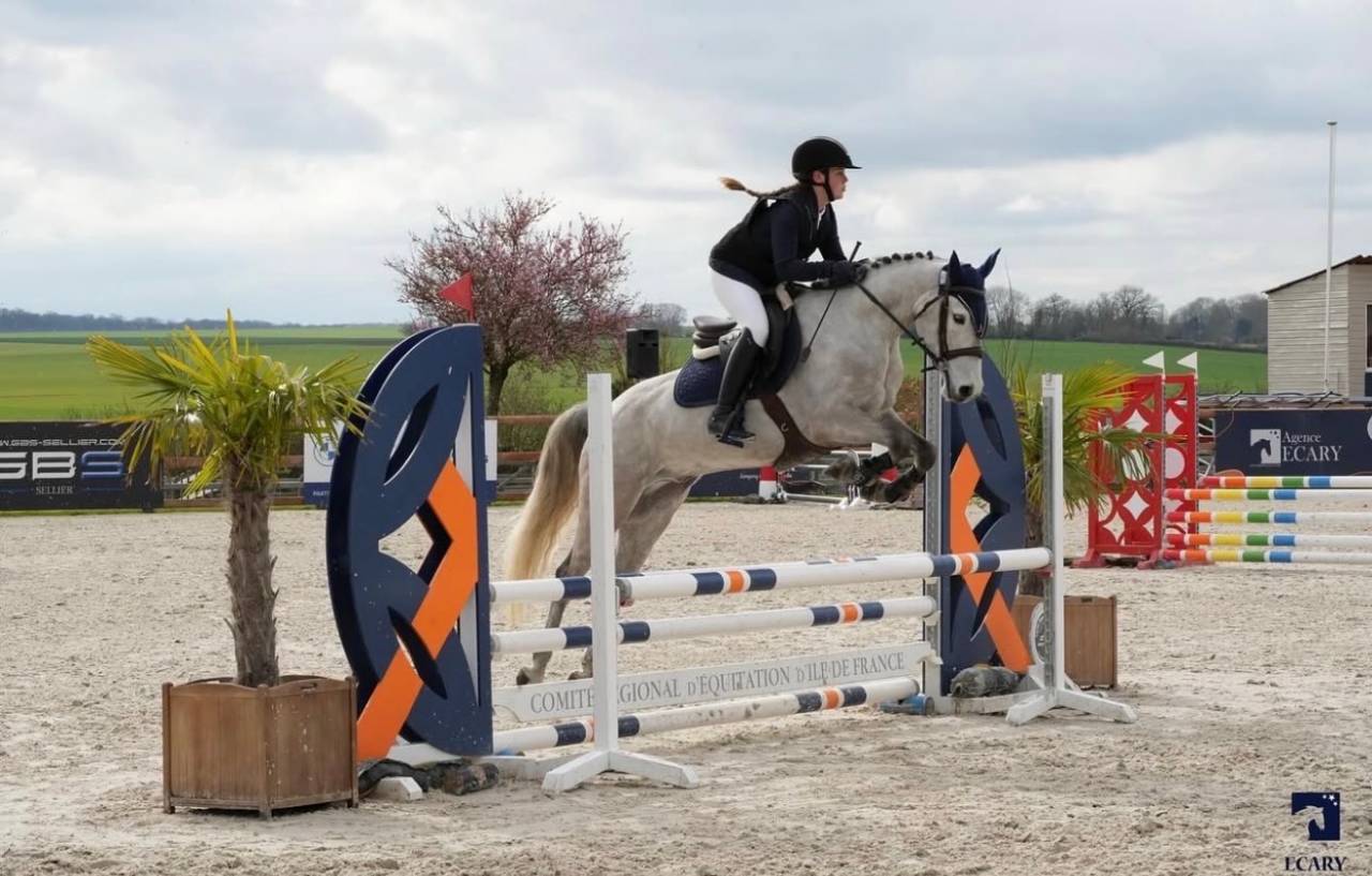 À VENDRE : Super poney de 7 ans - très gros potentiel 