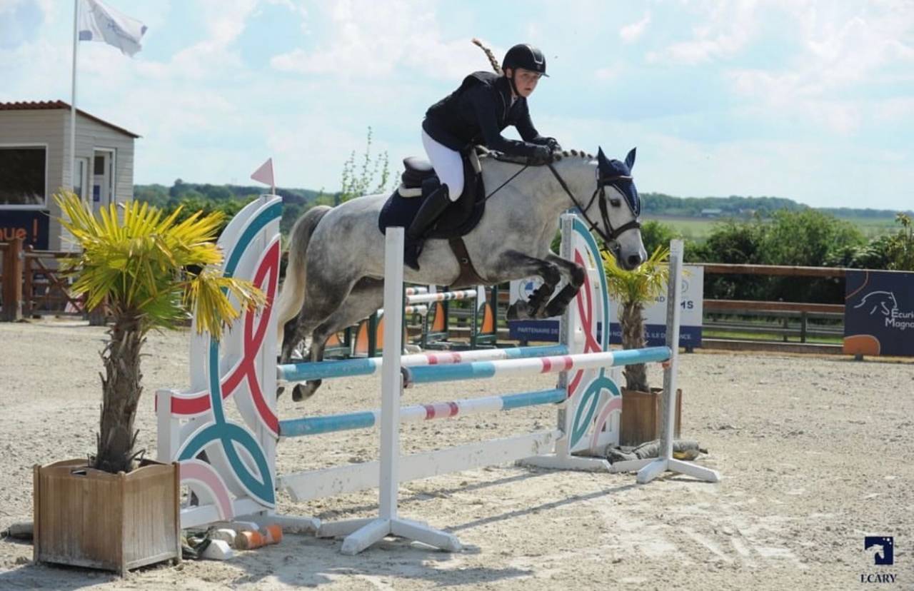 À VENDRE : Super poney de 7 ans - très gros potentiel 
