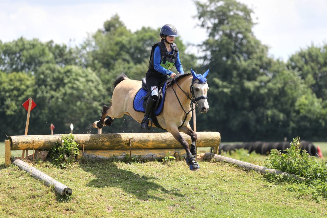 Pouliche Poney Welsh B 