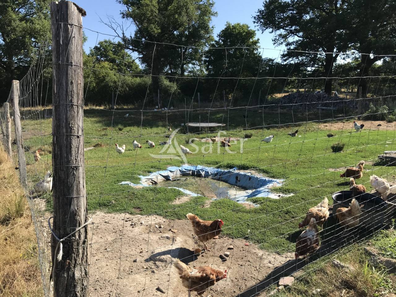 Exploitation agricole 70 hectares