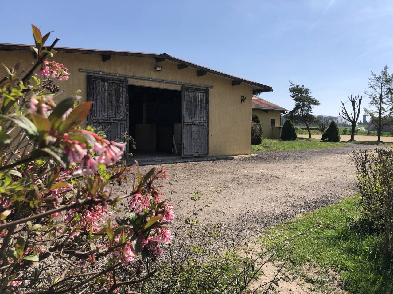 Location 8 à 10 boxes dans une écurie de propriétaire