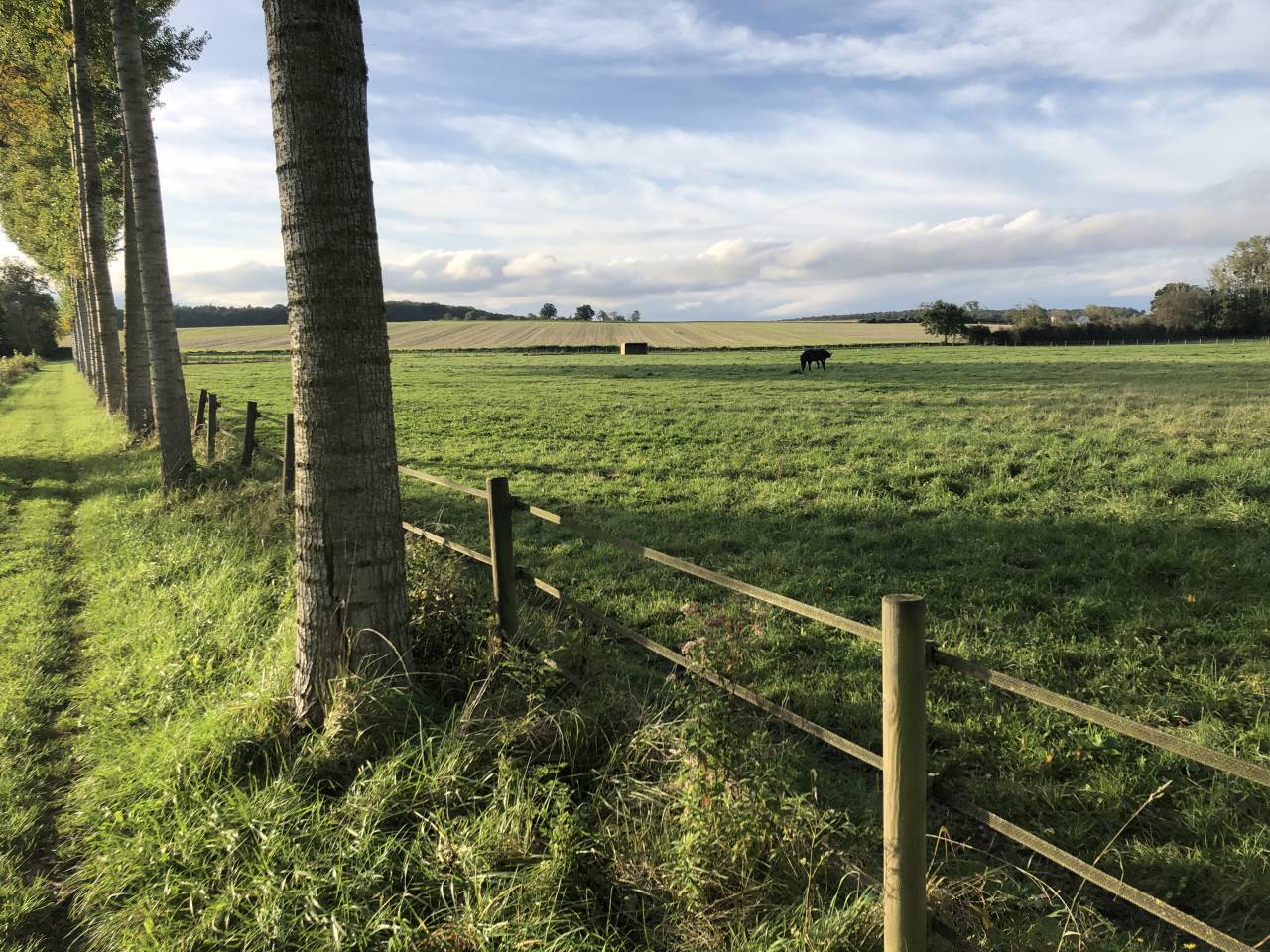 Location 10 boxes dans une écurie de propriétaire