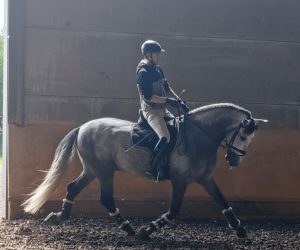 ZEPELIN;De l’élégance dans les allures
