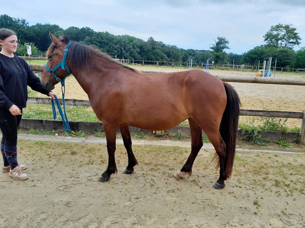 2 PONETTES OC LOISIR ET CLUB