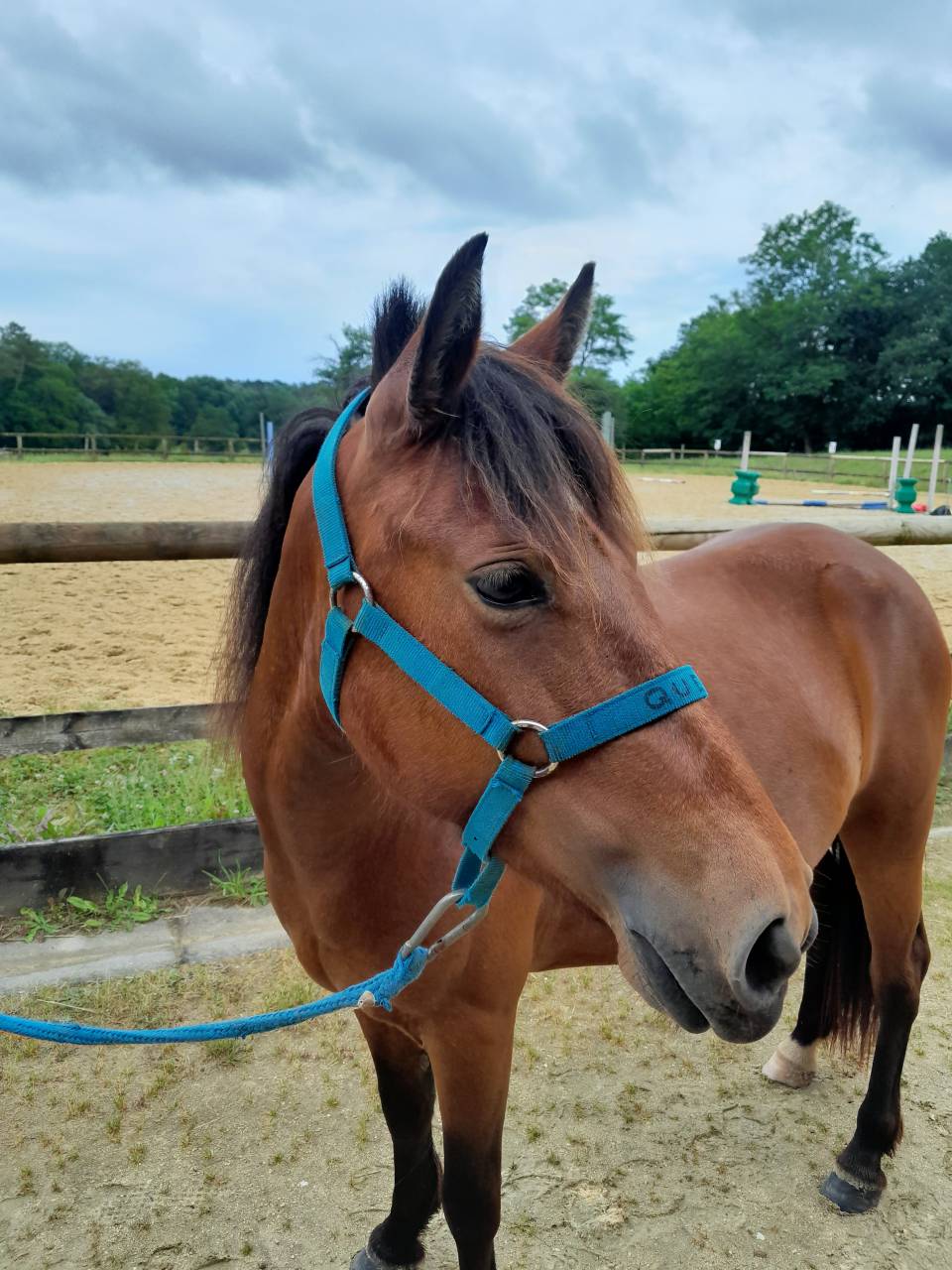 2 PONETTES OC LOISIR ET CLUB