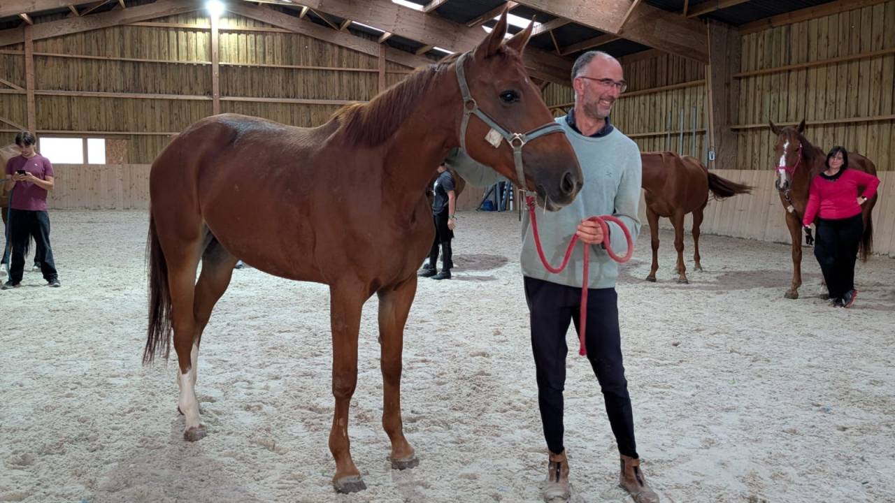 JUMENT 6 ANS AMATEUR 1 / ELITE