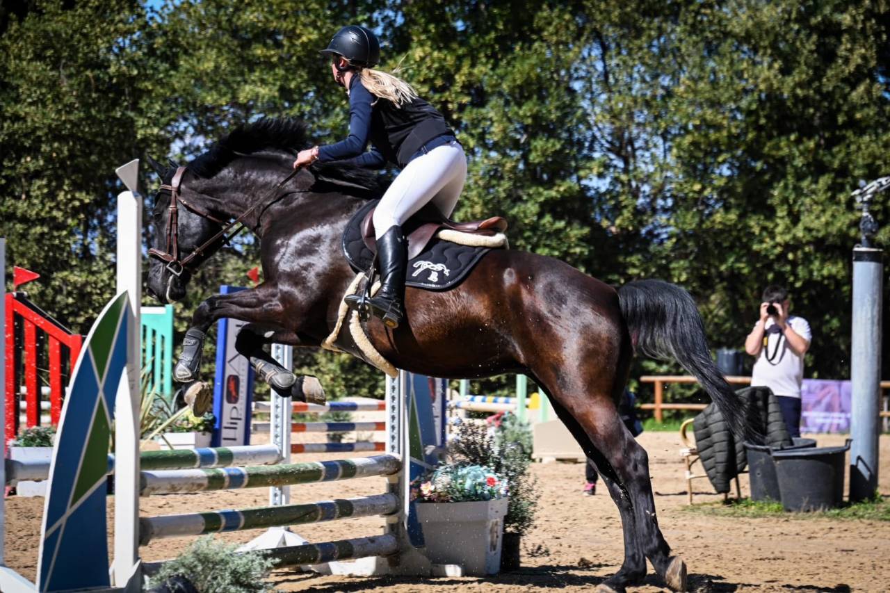 Pension complète ou DP