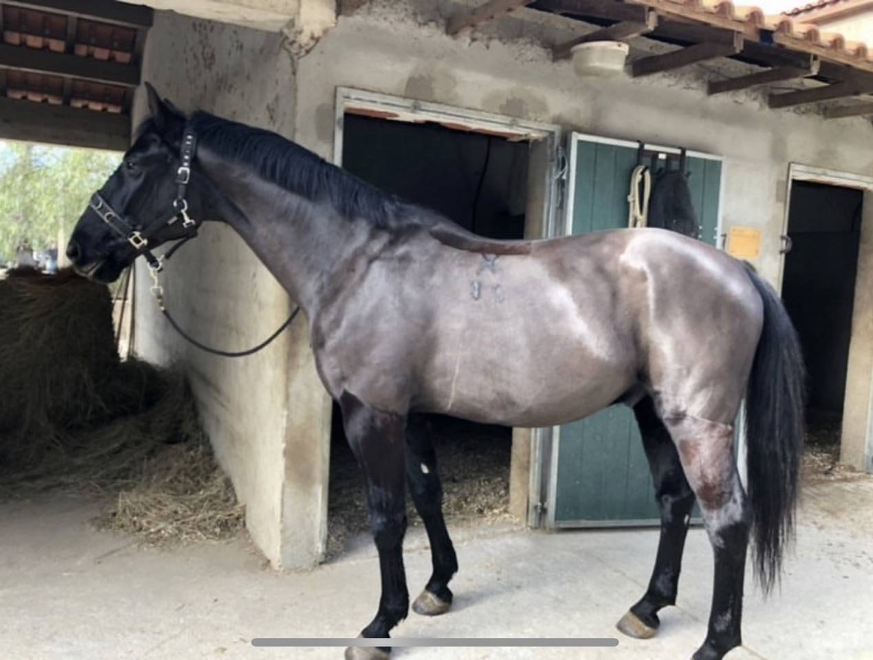 Pension complète ou DP