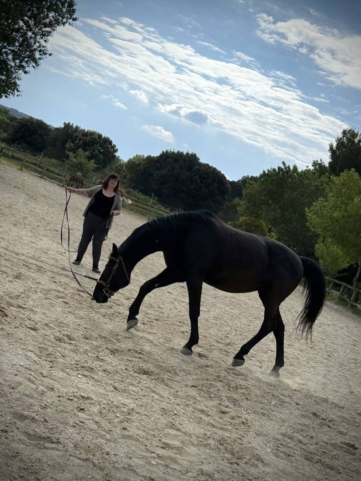 Pension complète ou DP