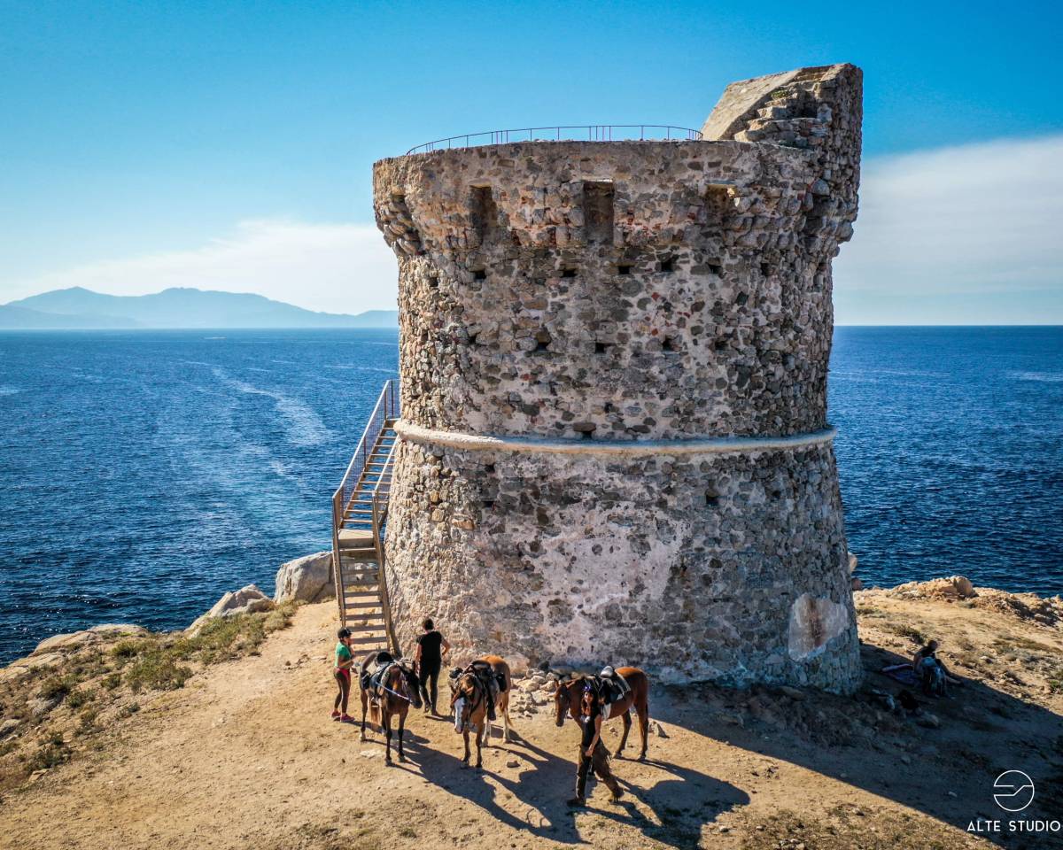 guide randonnée équestre corse saison 2026