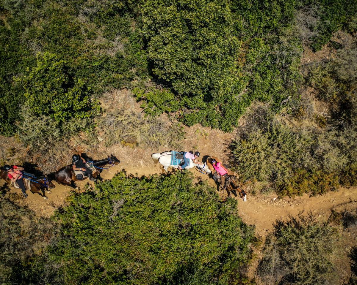 guide randonnée équestre corse saison 2026