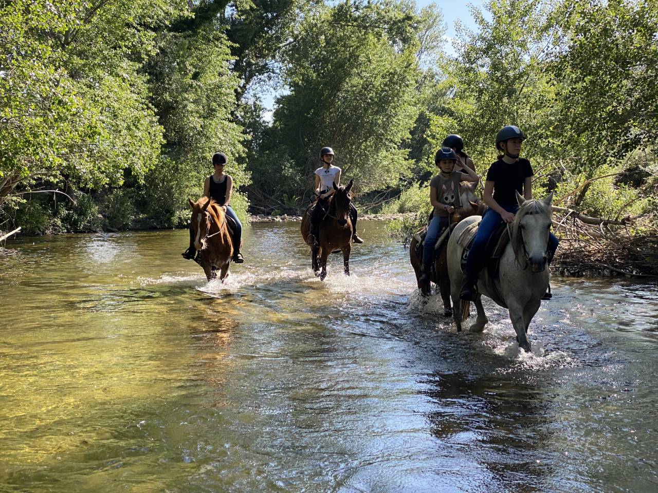 guide randonnée équestre corse saison 2026
