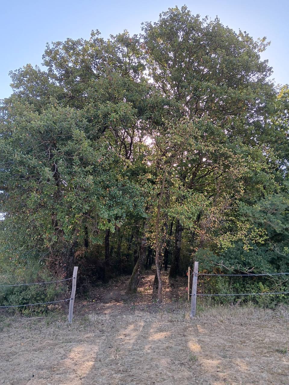 Superbe propriété Maison, stabulation, 2 hectares foret