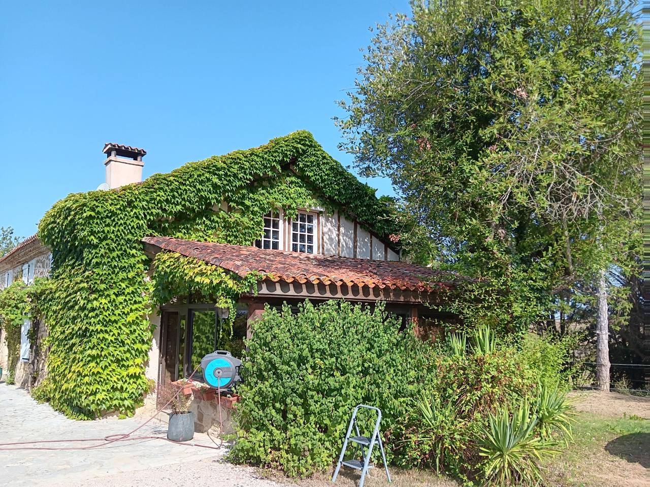 Superbe propriété Maison, stabulation, 2 hectares foret