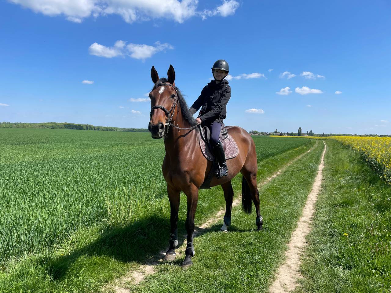 Jument Selle Français 10 ans CSO 125