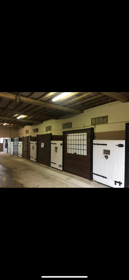 Pensions Bien-&Ecirc;tre &ndash; Haras de l&rsquo;Esperanza (31230 Cazac)