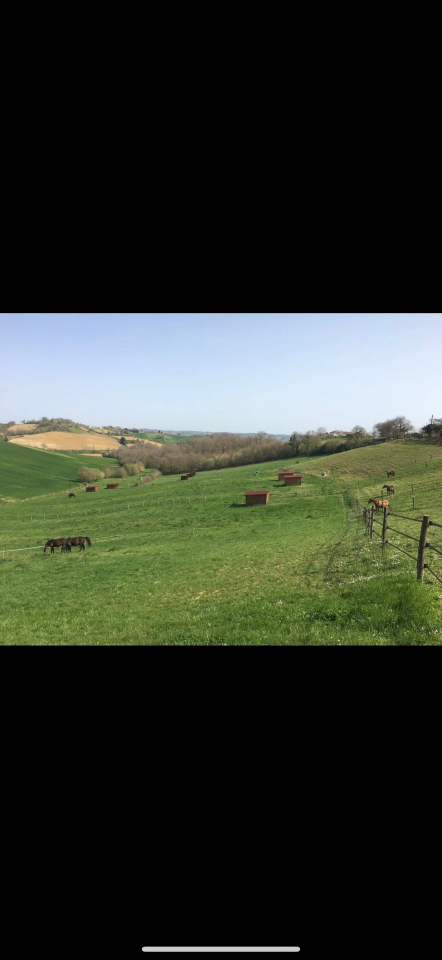 Pensions Bien-&Ecirc;tre &ndash; Haras de l&rsquo;Esperanza (31230 Cazac)