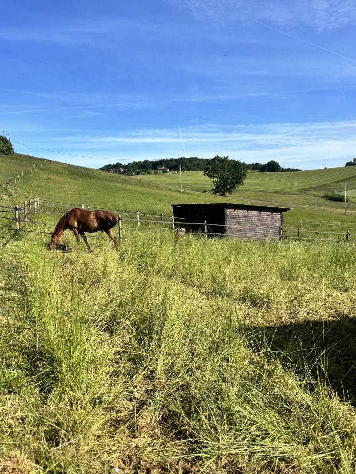 Pensions Bien-&Ecirc;tre &ndash; Haras de l&rsquo;Esperanza (31230 Cazac)