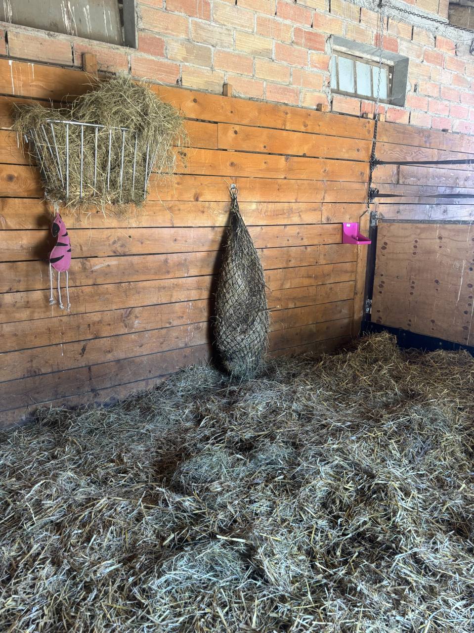 Pensions Bien-&Ecirc;tre &ndash; Haras de l&rsquo;Esperanza (31230 Cazac)