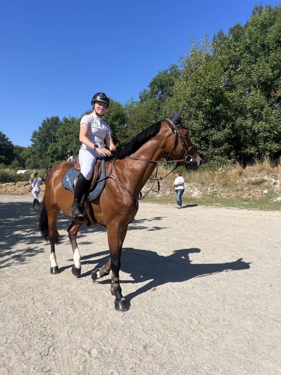 Hongre de 5 ans cso 