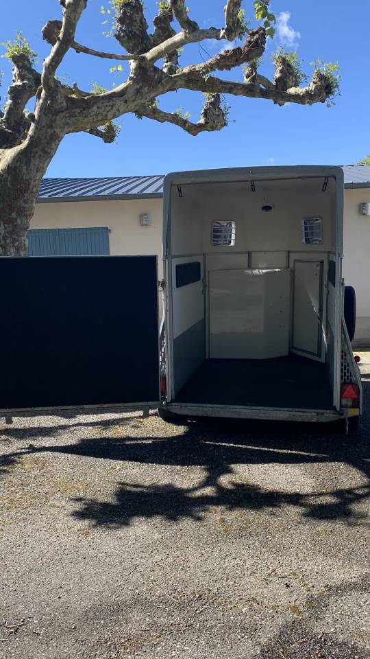 Van Bockmann duo pretium