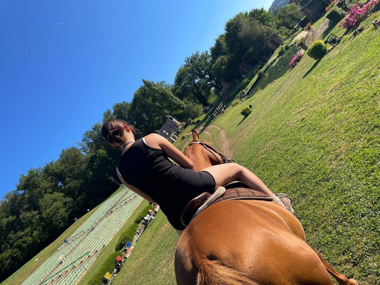 Jument alezane origine Arabe