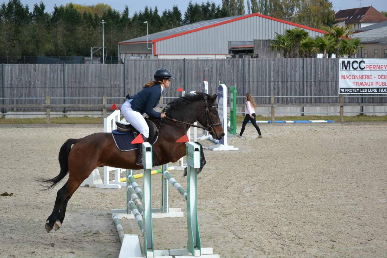 Connemara PP - 1m53 - 4 ans
