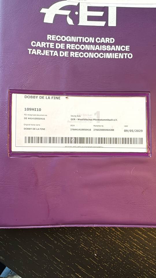 CHEVAL DE GRAND PRIX POUR AMATEUR 