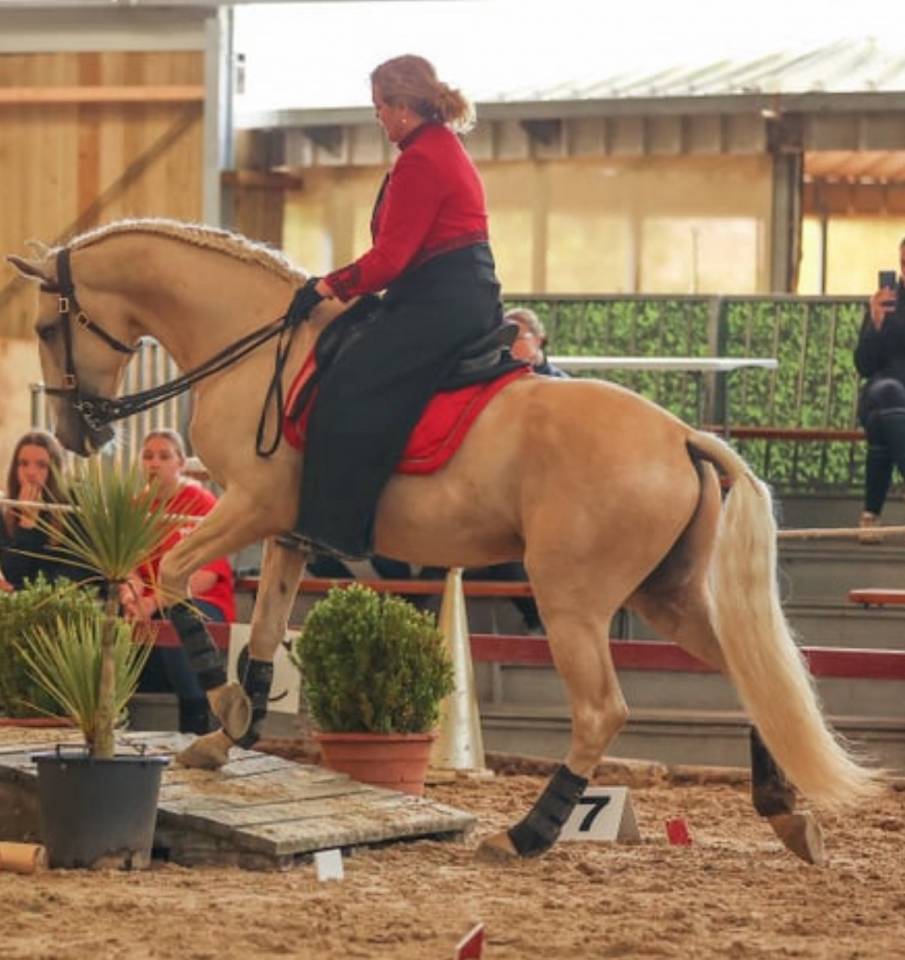 Magnifique pouliche Isabelle 