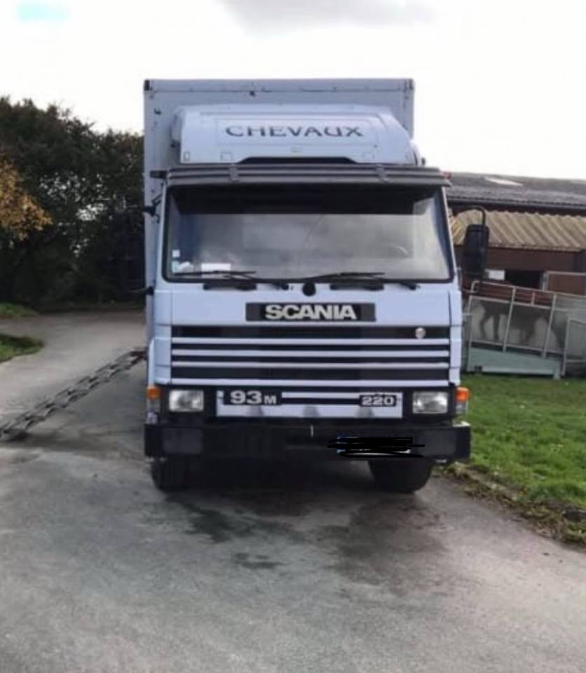 Camion chevaux Scania 93M