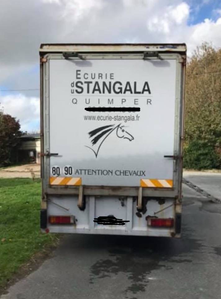 Camion chevaux Scania 93M