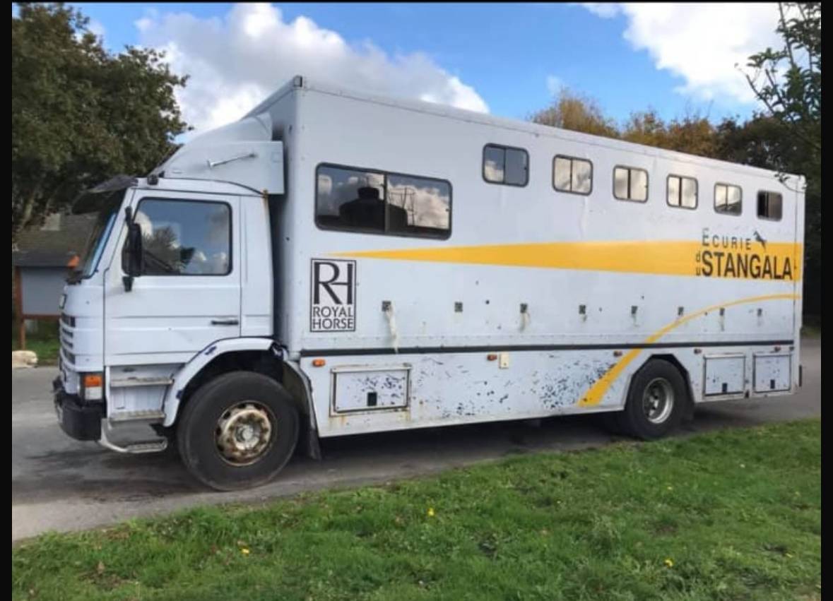 Camion chevaux Scania 93M