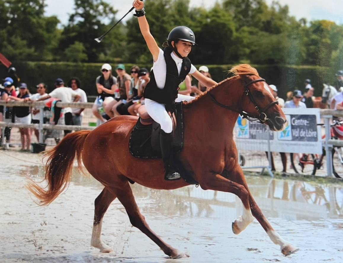 Poney Champion à vendre ! 