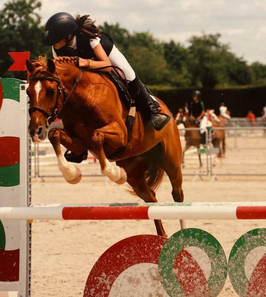 Poney Champion à vendre ! 