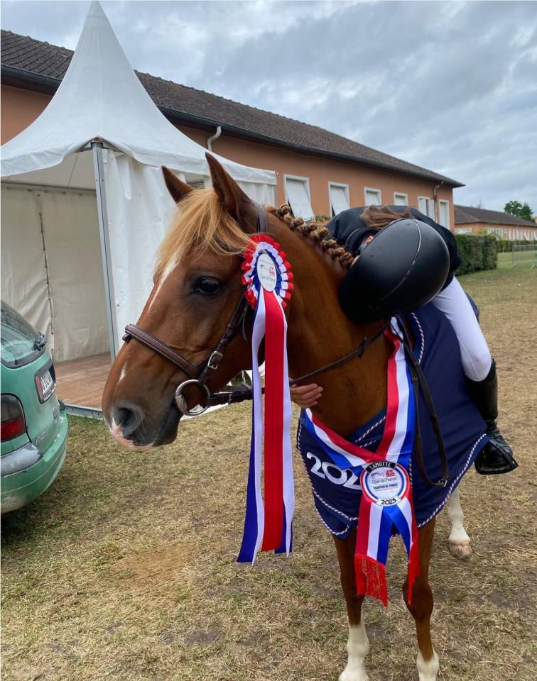 Poney Champion à vendre ! 
