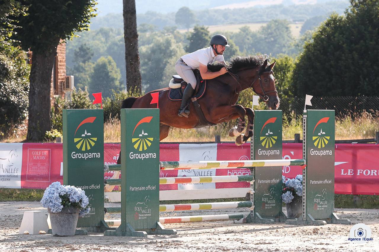 Super hongre tr&egrave;s pratique 