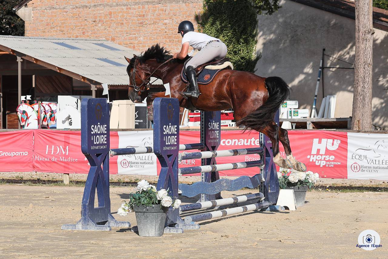 Super hongre tr&egrave;s pratique 