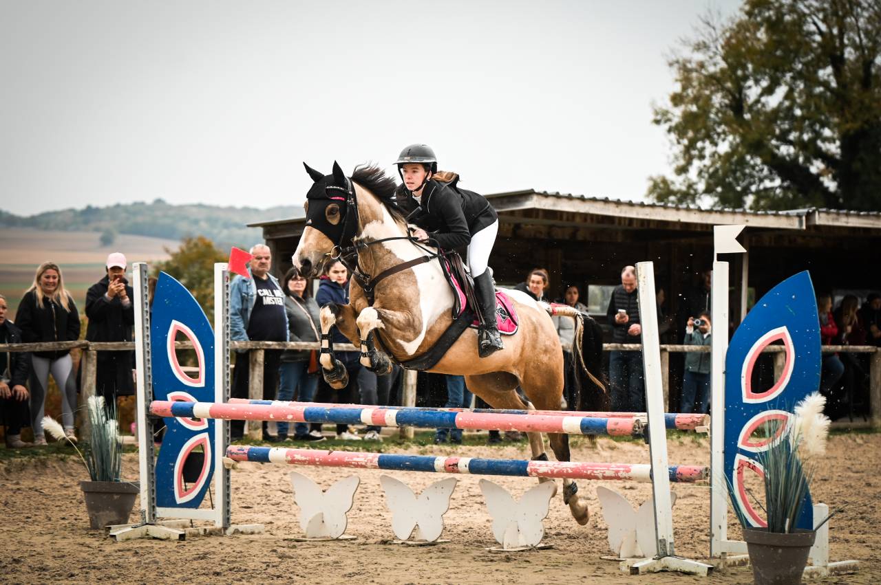 CHEVAL A PRENDRE EN DEMI PENSION 