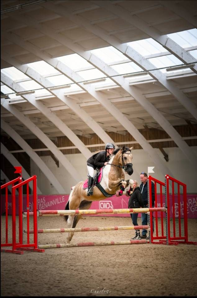 CHEVAL A PRENDRE EN DEMI PENSION 